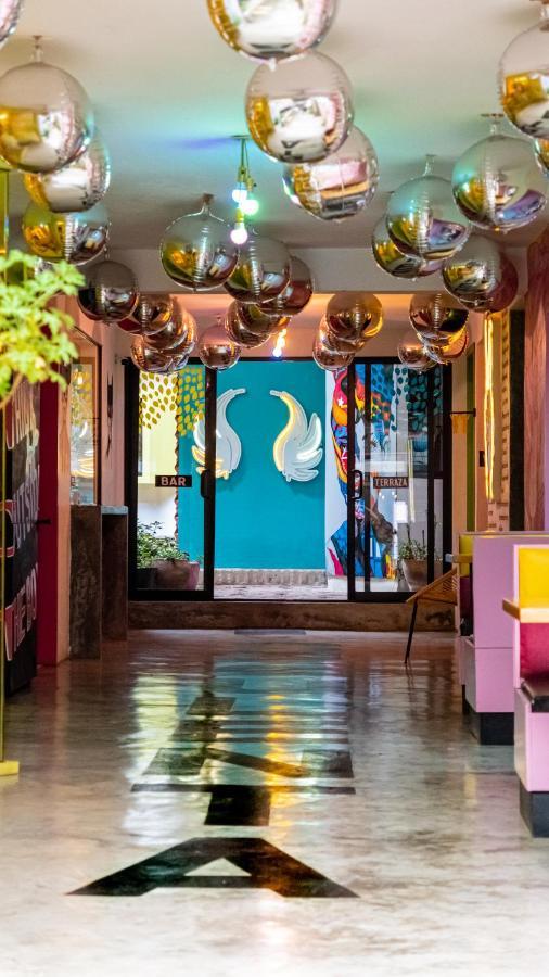 Hotel Suculenta Boutique San Cristóbal de Las Casas Екстериор снимка